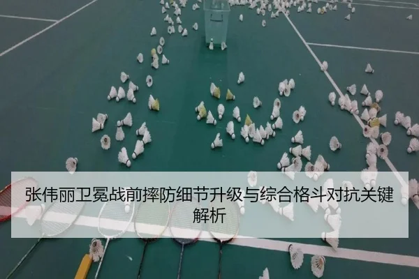 张伟丽卫冕战前摔防细节升级与综合格斗对抗关键解析